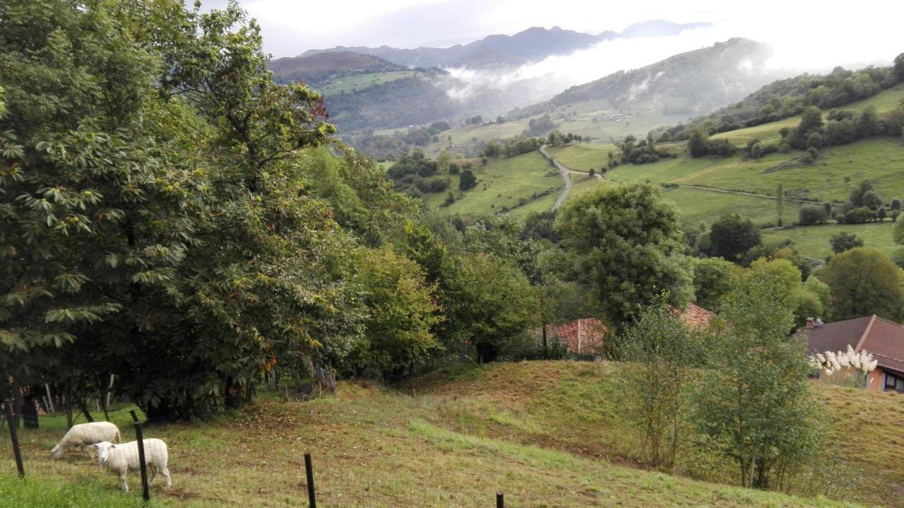 Apartamentos El Llanin Onís Exteriér fotografie